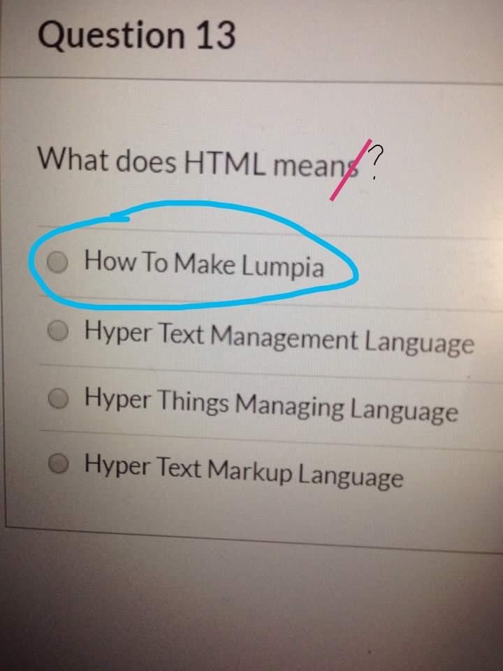 feelslikesotoya's tweet image. The only HTML that matters. 🥺