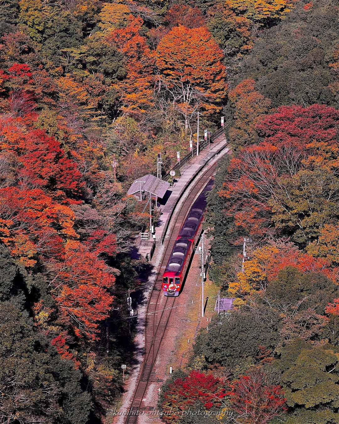 Kunihito Ohtsubo 四国カメラ部 代表理事 紅葉を大歩危峡を走る 千年ものがたり と 紅葉の秘境駅 坪尻駅と アンパンマン列車 紅葉 大歩危 大歩危峡 四国まんなか千年ものがたり 紅葉風景 Tokyocameraclub 東京カメラ部 絶景delic 絶景