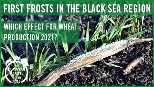 EuroAgritelTour's tweet photo. #frosts 🥶 down to -10 ° C in the #BlackSea have been observed for 10 days. How is #wheat 🌾developing in the region today and how well #crops are prepared for winter❄️?Find the answers in our #cropreports 🇷🇺🇺🇦🇷🇴🇩🇪: https://t.co/zy3ZEIH9XU #EAT2021 https://t.co/N6K6QYrnAF