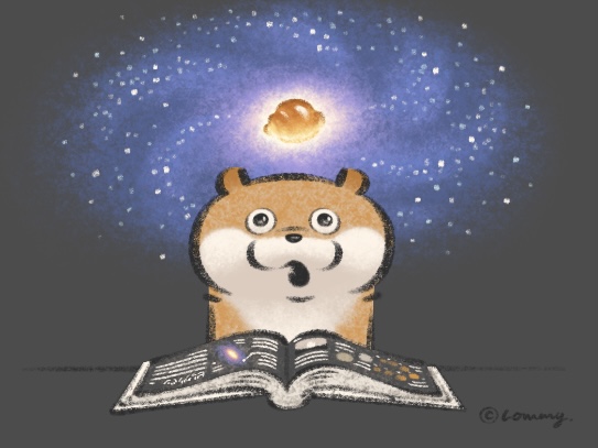 宇宙を読み解くの?
#カワウソ 