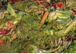 menarini_es's tweet photo. Una dieta equilibrada basada en alimentos producidos de forma sostenible y con poca emisión de #gasesinvernadero es la mejor opción para adaptarse al cambio climático y limitar sus efectos https://t.co/7tp7dfN6CD #EConsejo #ÚneteAlVerde https://t.co/cc3I41JkTz