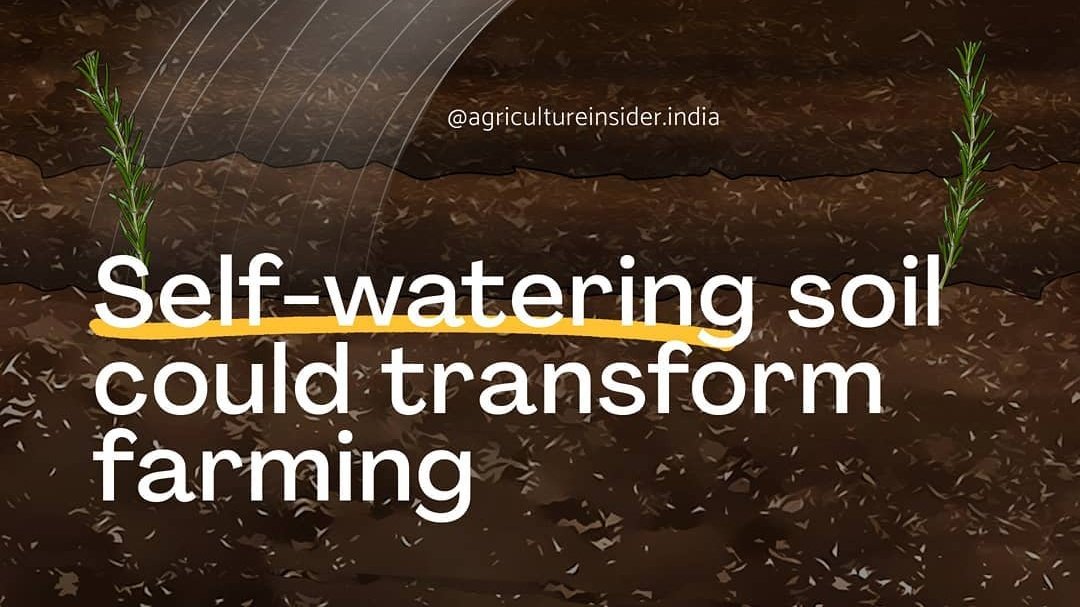A new type of soil created by The Uni. of Texas can pull water from the air. The atmospheric water irrigation system uses super moisture absorbent gels to capture water from the air.When soil is heated to a certain temp., the gels release the water, making it available to plants.