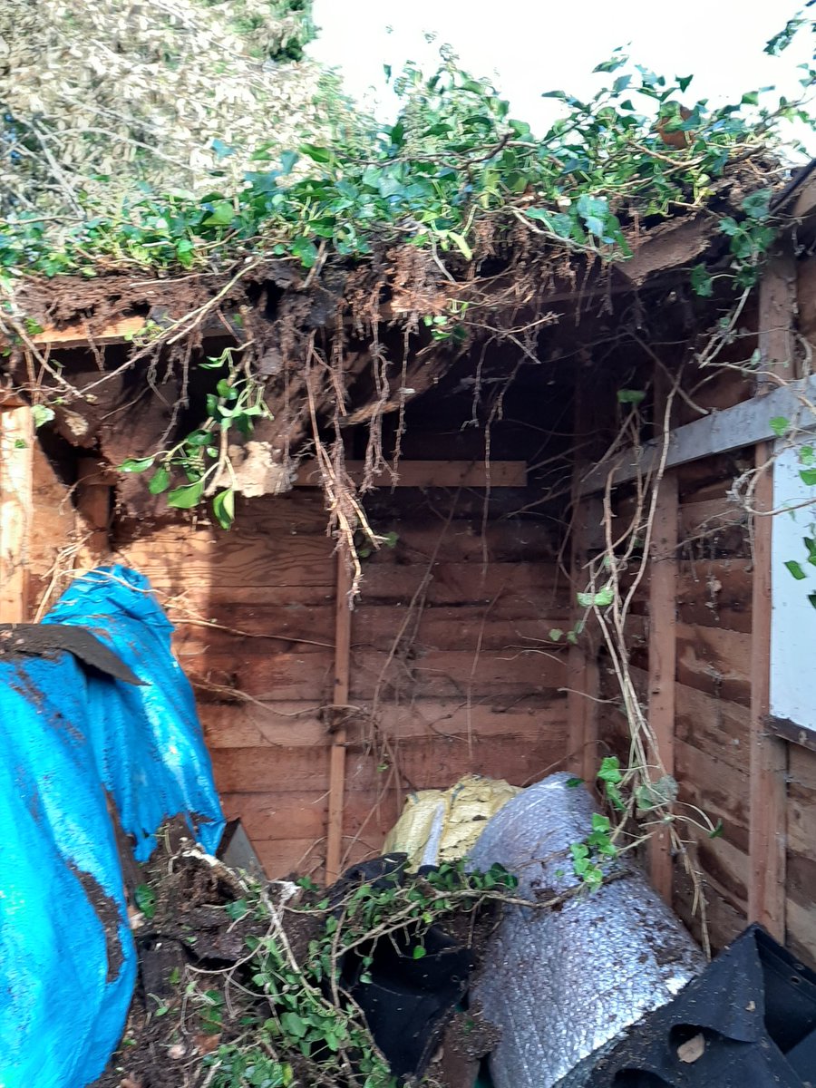 Inspired by <a href="/eliza_buff/">Elizabeth🇺🇦</a> and <a href="/TheMontyDon/">Monty Don</a> - from this