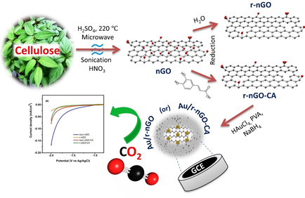 Cellulose-Based Reduced Nanographene Oxide on Gold Nanoparticle Supports for CO2 #Electrocatalysis (Kvarnstroem) onlinelibrary.wiley.com/doi/10.1002/ce…