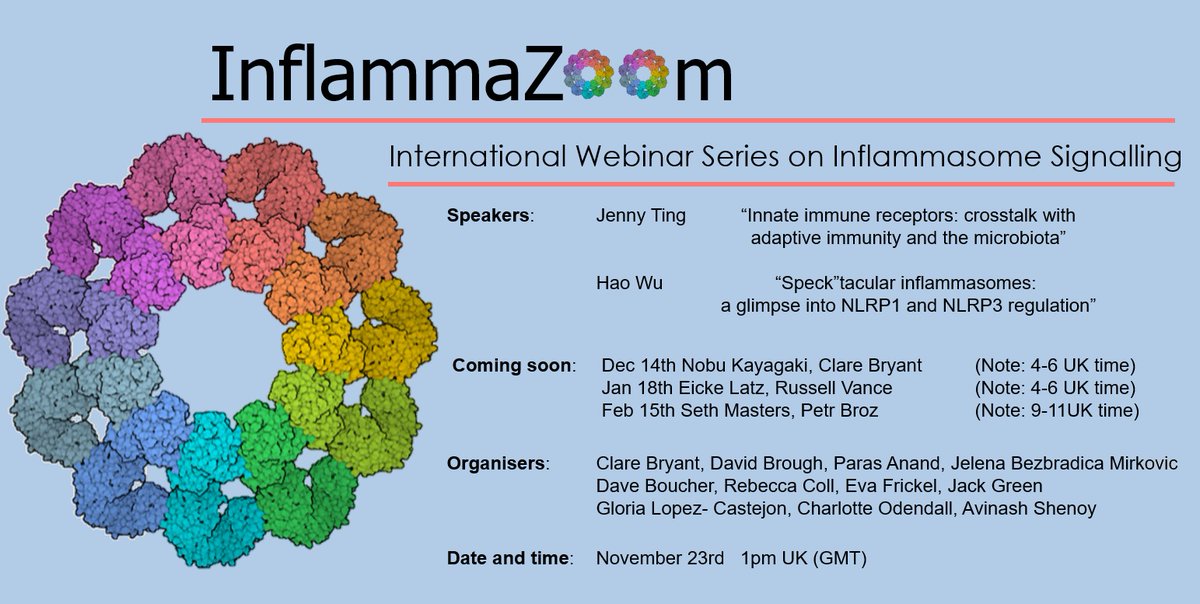 ClareBryant13's tweet photo. Inflammazoom in November: fantastic speakers coming on Monday 24th https://t.co/3RFMiySDrF https://t.co/6si2isMyIW