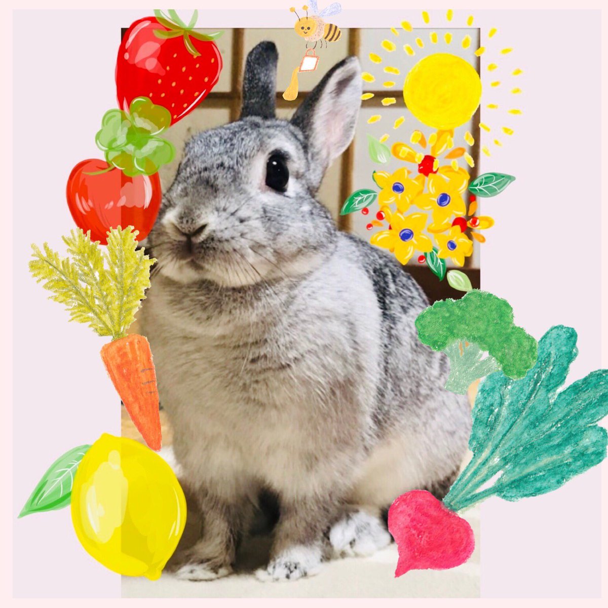 うちのうさぎと寺社ノート Rabbit Jisha Twitter