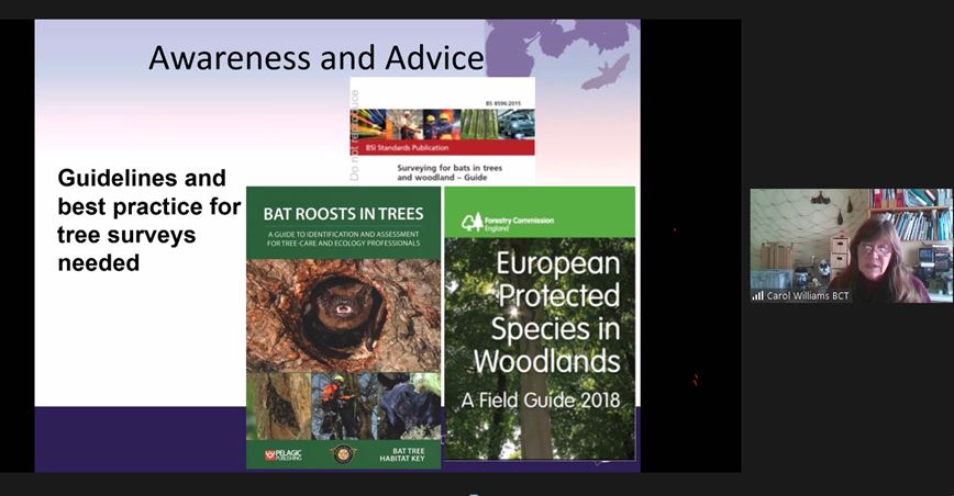 _BCT_'s tweet photo. Carol Williams from BCT has kicked off Day 1 of the Woodlands Sympsium with an overview of the priorities from the last Woodland Symposium #BatWoodlandSymp https://t.co/0qCJGsAxrQ