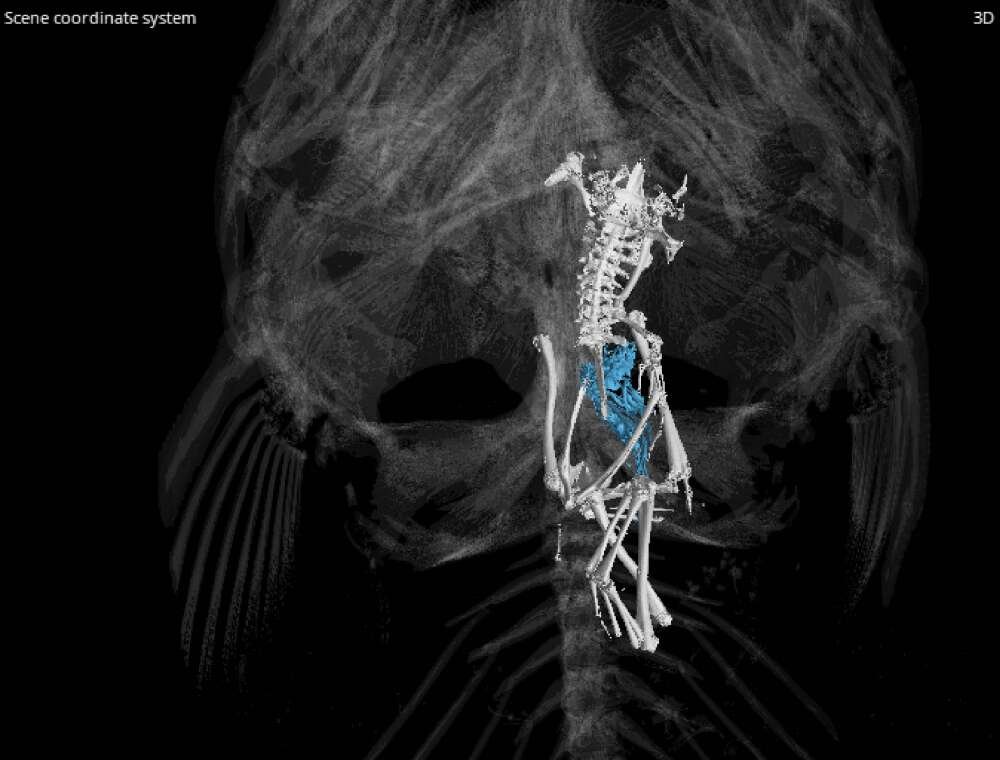 What's more festive than a case of Inception indigestion?