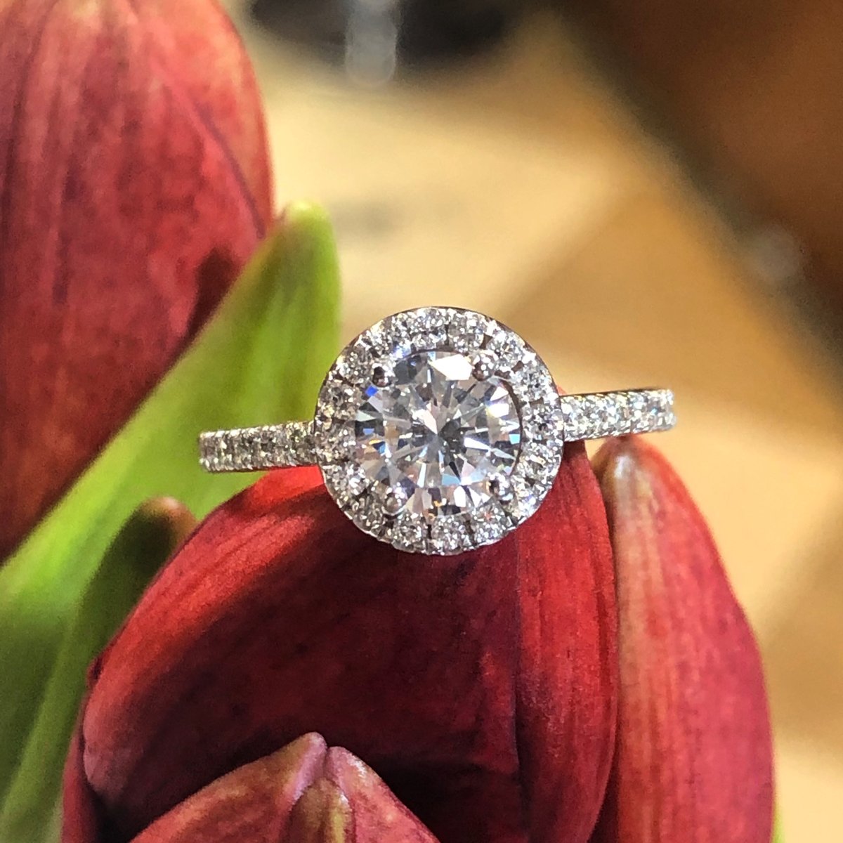 tresorjewelers's tweet photo. Simple and elegant. The classic round halo finished by tresor . #saltlakecity #utah #diamonds #saltlake #ring #love #saltlakebrides #utahbrides #wedding #engagementring #customjewelry https://t.co/qkDjFptk20
