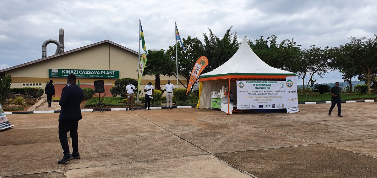 Mugambi_SM's tweet photo. #CassavaWeek - #Day3: Today events are at Kinazi Cassava Plant (KCP). Stakeholders are taking stock of progress in value addition and how to meet growing demand for roots for processing and other uses. Event's graced by repr. from Minagri, Minicom, 3 districts mayors, etc. https://t.co/yJKBaqizt4