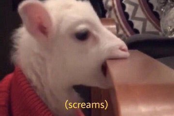 I'm not even horny anymore