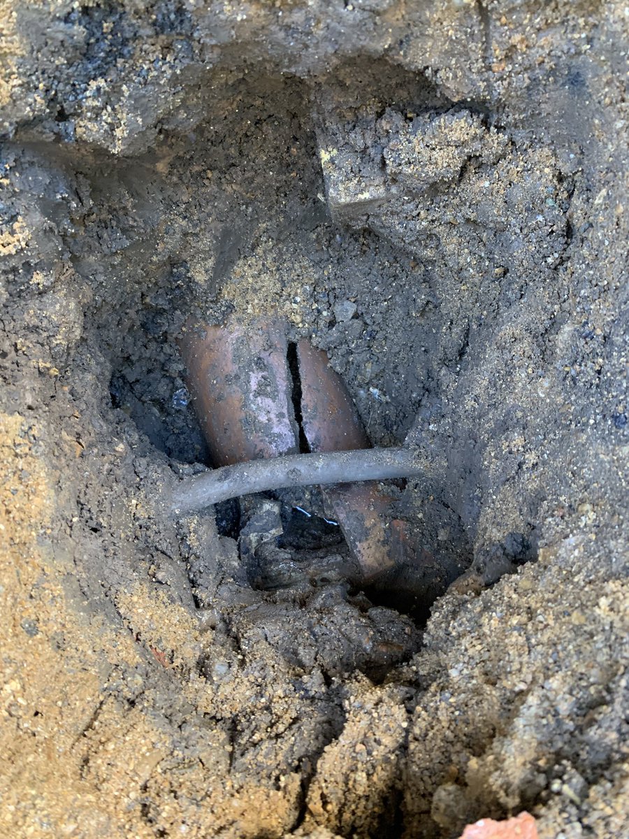 ProtonEnviron's tweet photo. Rats under the floor... 90% of the time it’s the drains! Broken pipes between manhole and the house let rats burrow our and find a way in. #pestcontrol #ratcontrol https://t.co/OLXF3IwF3M