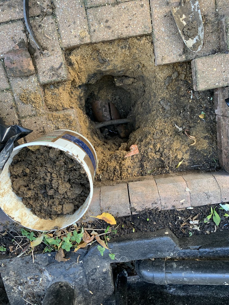 ProtonEnviron's tweet photo. Rats under the floor... 90% of the time it’s the drains! Broken pipes between manhole and the house let rats burrow our and find a way in. #pestcontrol #ratcontrol https://t.co/OLXF3IwF3M