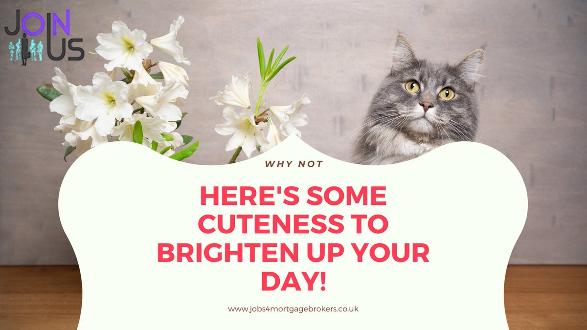 Cecilia Hall (@joinus_mbrokers) on Twitter photo 