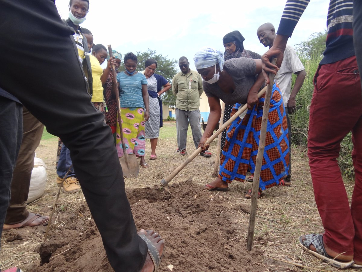 BroadfieldEnte1's tweet photo. Currently:- Community members of Nakivale Refugee Settlement - Isingiro District being trained on "Double Dig Garden" skills. Focus on the use of new innovations to improve on soil fertility. #BEUatWork #PDCUg20 https://t.co/AYzppaRXzz