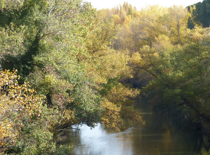 lauradelvalleg's tweet photo. Este maravilloso puente es un lugar con mucha historia y mucho encanto que, sin duda, merece la pena visitar porque permite disfrutar tanto del puente como del río, la fauna y la vegetación propia del lugar. #mipaisaje #DCSUVA #PuentedeHierro #RíoDuero https://t.co/oUJCalzadq
