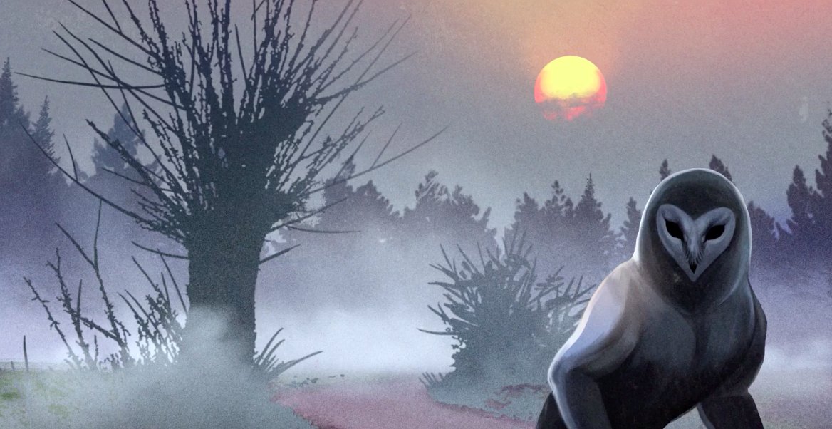 MFKiG Łódź tweet media