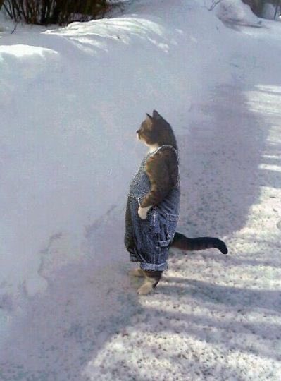 jwisaurus's tweet photo. WHY DOES HE STAND LIKE THIS https://t.co/Lh8f2ReUGJ