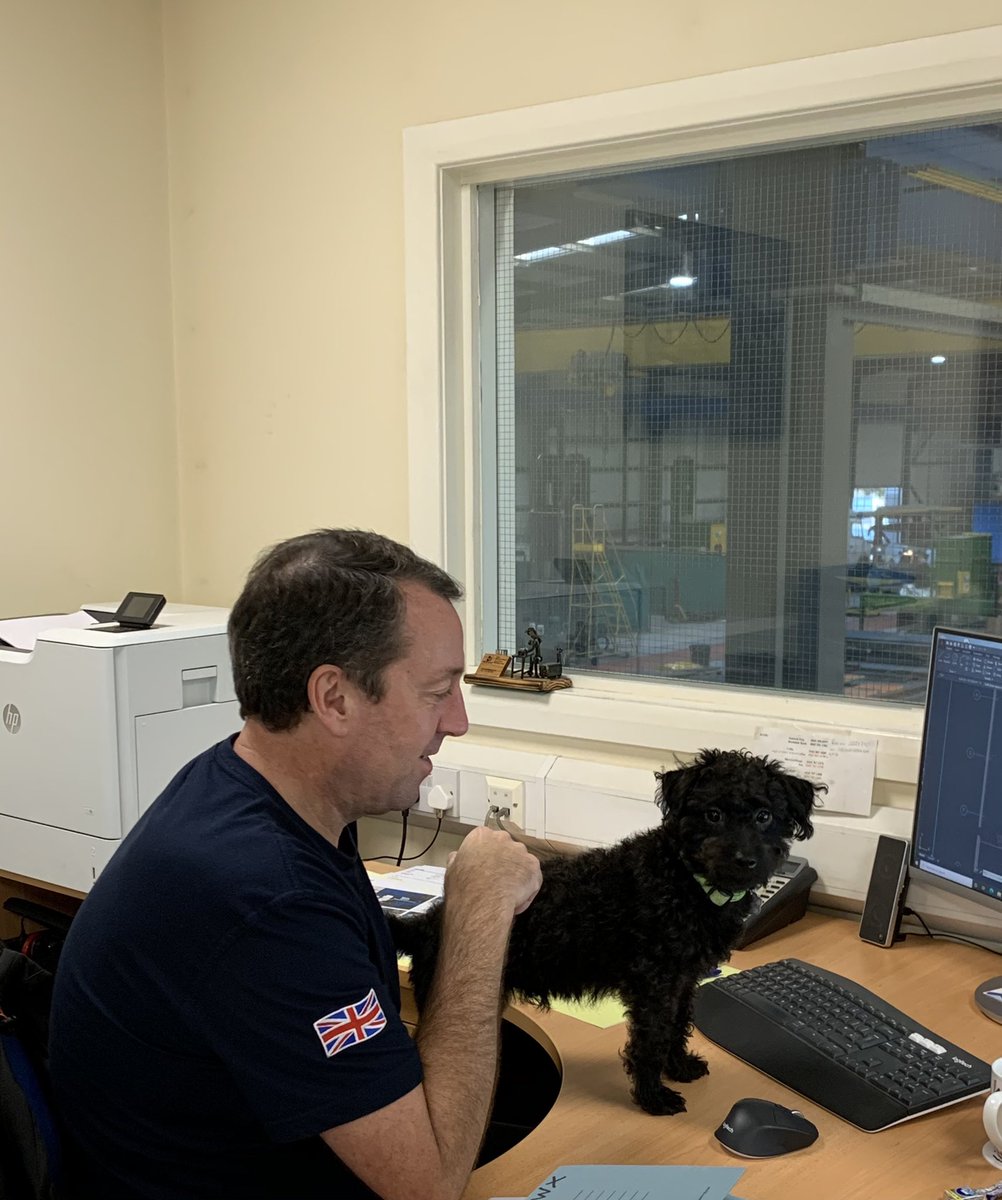 laura_millss's tweet photo. Dad: No Laura your never getting a puppy and it’s definitely not coming to work with us... 8 months later there best mates and he’s the best office dog 🐶 https://t.co/BhxaWoNzRR