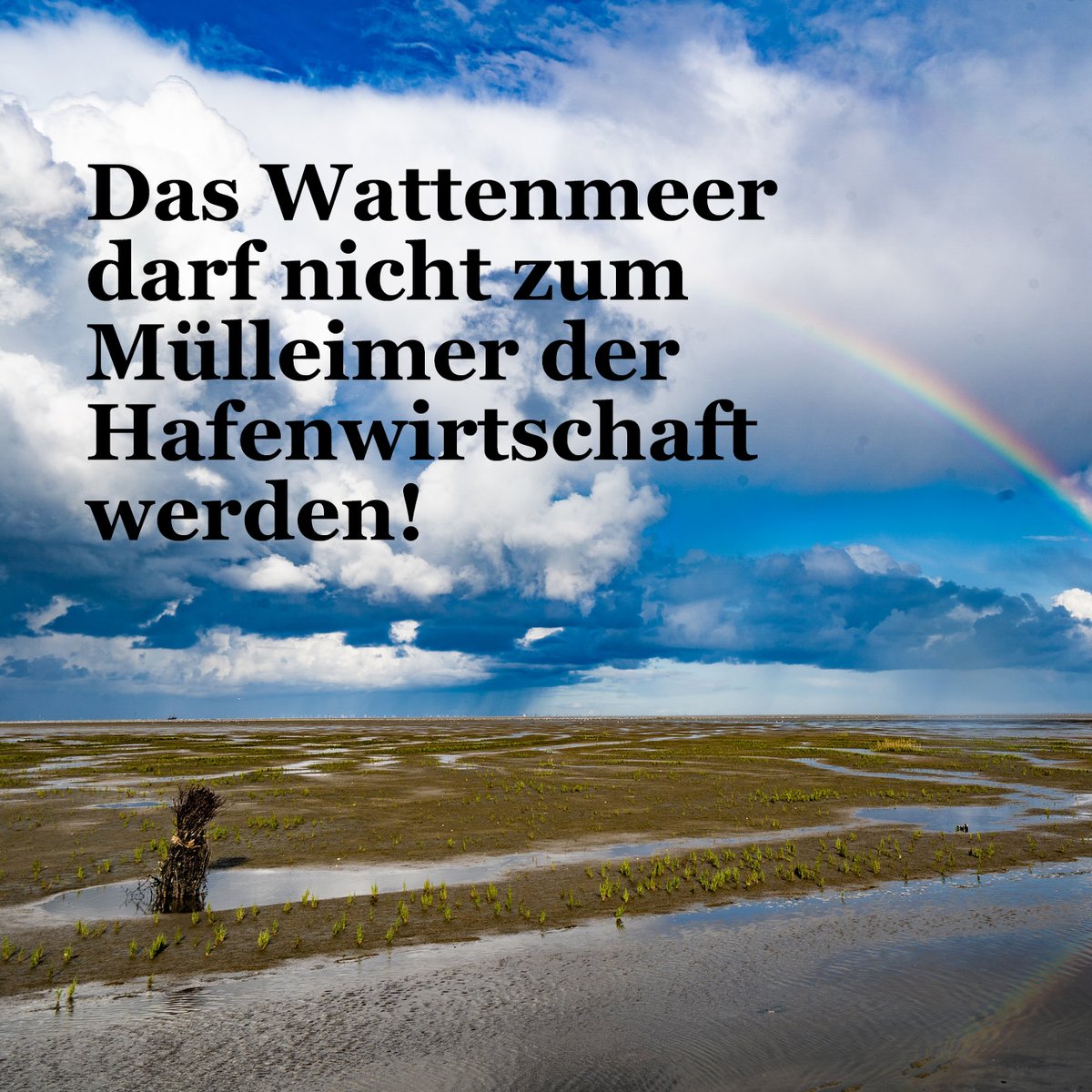 Unser Aktionsbündnis #LebendigeTideelbe schlägt Alarm! Hamburgs Wirtschaftssenator Westhagemann will eine Ablagerungsstätte für giftigen #Hafenschlick am Rande des Nationalparks Hamburgisches Wattenmeer einrichten. Das muss gestoppt werden! cc <a href="/NABU_Hamburg/">NABU Hamburg e.V.</a> <a href="/WWF_Deutschland/">WWF Deutschland</a>