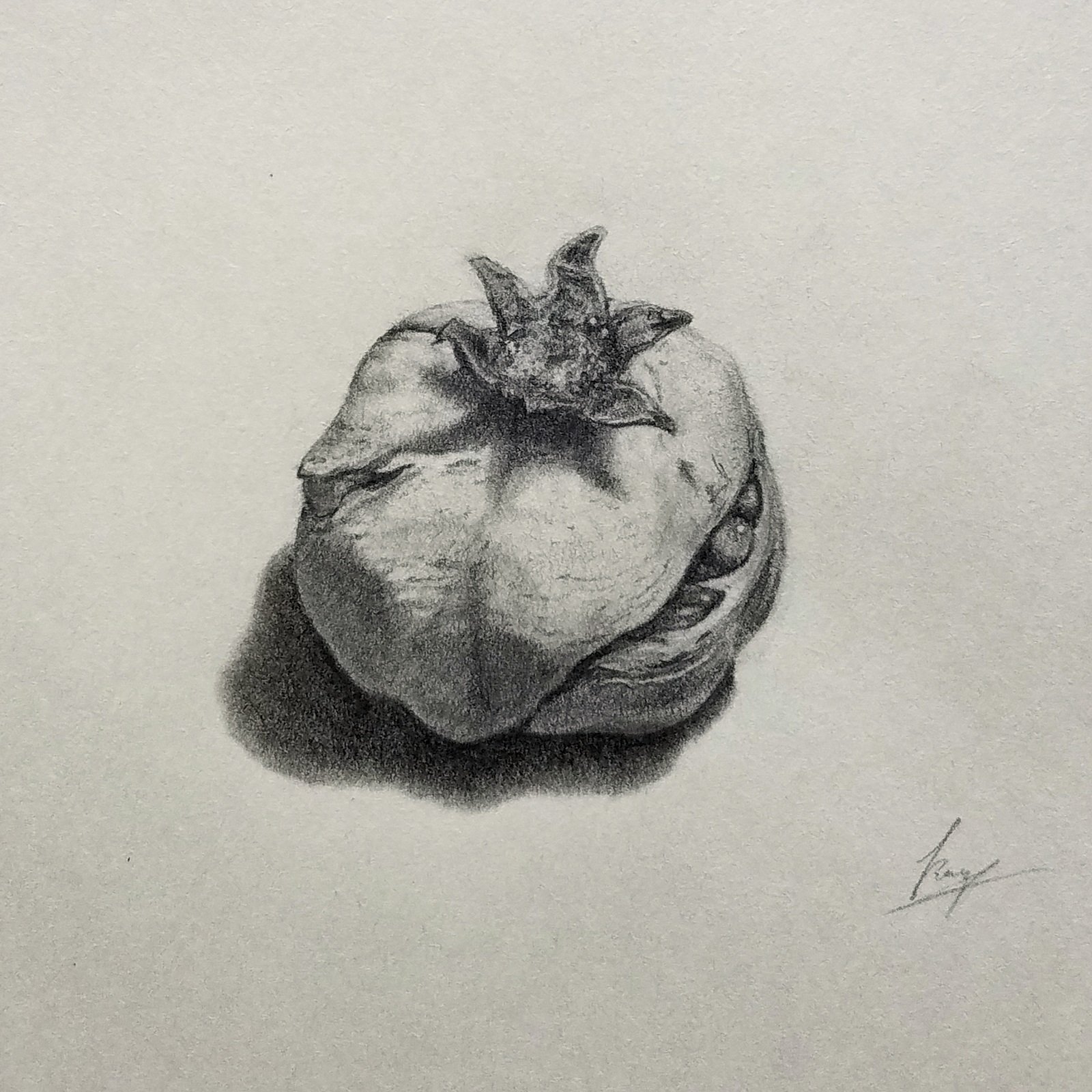تويتر 宮﨑和彦 على تويتر デッサン力が足りないので 友人宅の庭に落ちていたザクロを描いてみた デッサン は自分で数をこなすのは勿論だけど 最近はsnsで上手い人のデッサンを見放題なので本当に助かってる 日が暮れて蛍光灯直下で描いたからか 影が硬い感じが