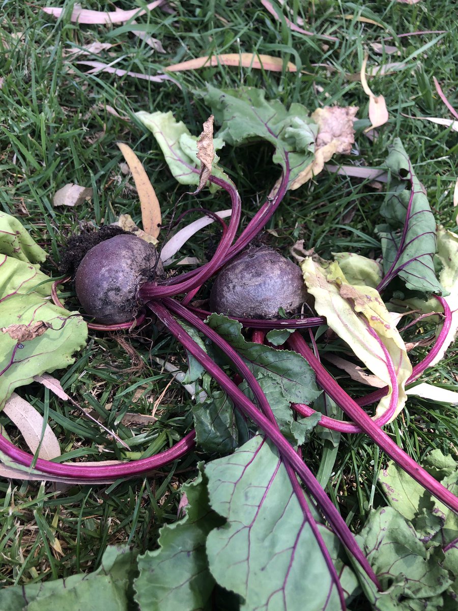 2/3 Connect tweet media