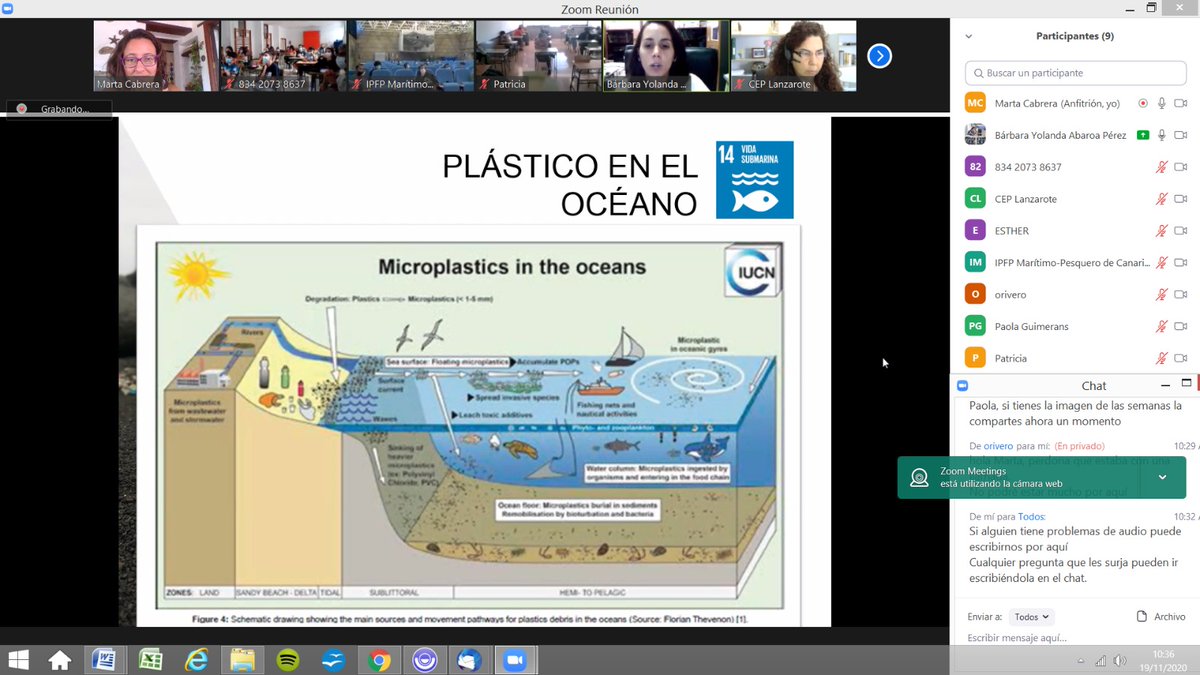 agenciaiisi's tweet photo. Entre alumnado y profesorado, casi un centenar de participantes desde sus aulas conectan con 'LIVE! WEBINARS - RETOS STEAM' para aprender sobre #ODS Vida submarina y #Microplásticos con expertas como Bárbara Abaroa #SCIC20
Apúntate a las próximas sesiones:
https://t.co/MT0mAkbjTb https://t.co/vQVd72uCal