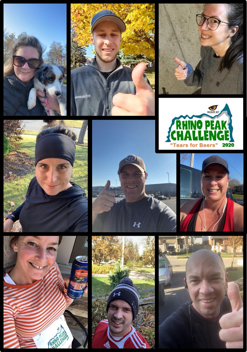 WildlifeACT tweet media