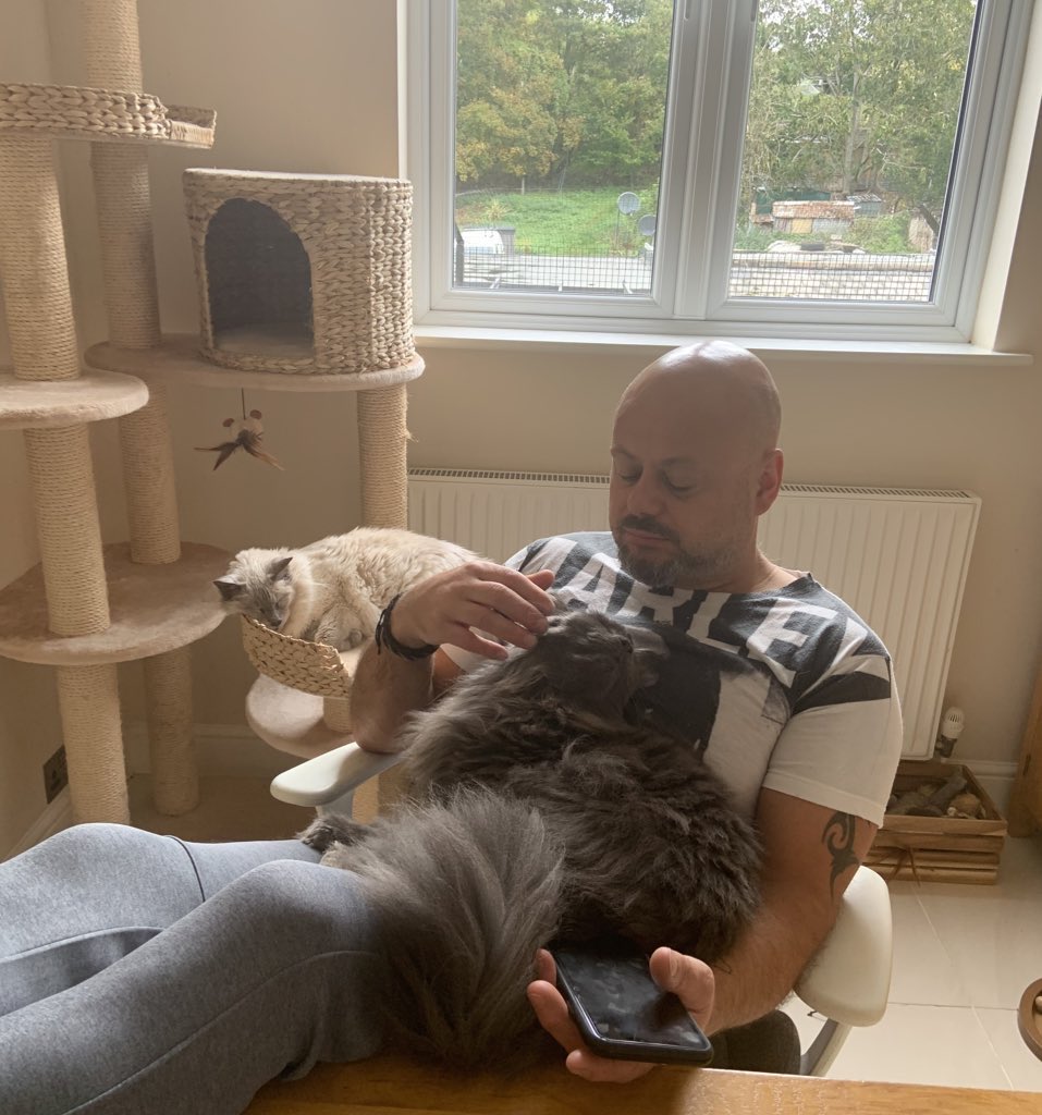 MichelleAkerman's tweet photo. @CatsProtection My man @MichaelPWilkes loves his kitties and they love him. Here he is with Charlie on his lap and Millie resting next to him. Millie came from @CatsProtection and she is a #SuperSeniorCatsClub kitty.
#InternationalMensDay
#CatMenDo
#CatsOfTwitter https://t.co/1ZsG0cxIlc