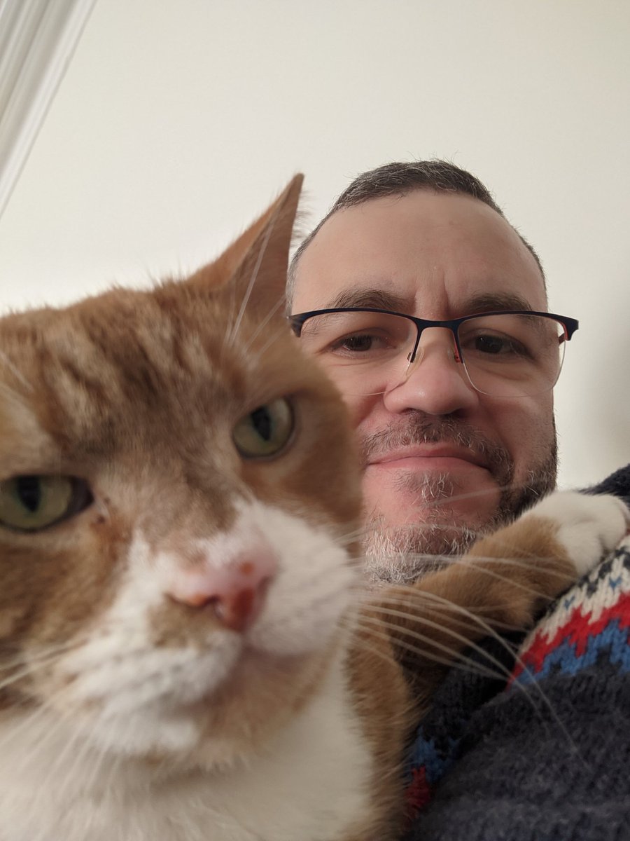 HugoCaprichoso's tweet photo. When #CatMenDo, #Idotoo https://t.co/B8m7dSWsCv