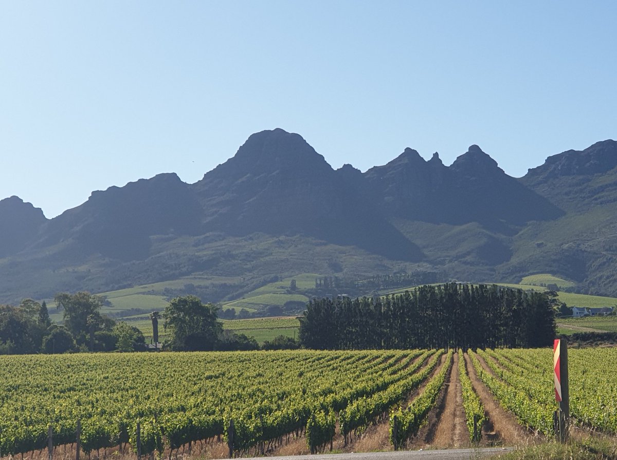 cornedupreez1's tweet photo. a Lekker #MorningRide🚴♂️ through the #Winelands🍇 of #Stellenboch with a strong South Easter🌬🚴♂️ 🙈 #loveCycling #CyclingIsFun🤗 #BreakingPR's🏅🏅🏅 https://t.co/IkQTDWQBls