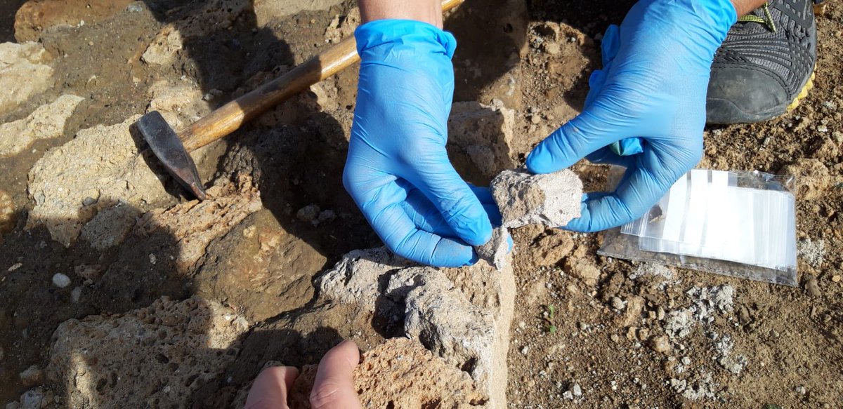 YOCOCU Italy tweet media