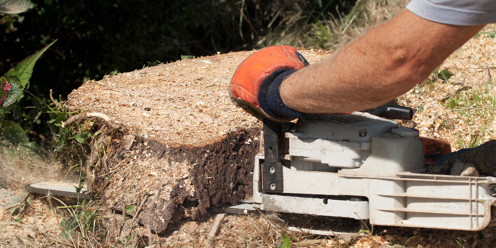 TtsTree's tweet photo. After felling a tree, it's best to remove the stump as soon as possible. This will prevent the risk of suckers replanting the tree. Find out more about #stumpremoval in our latest blog: https://t.co/T5ZcY59XBD
#trees #fellingtrees #cuttingtrees #treestumps #stumps #treesurgery https://t.co/4RlOMZOj14
