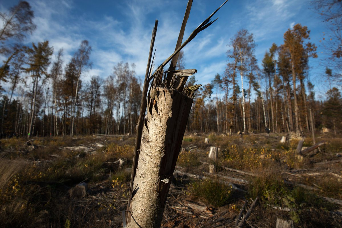 Aktion Schlagloch tweet media