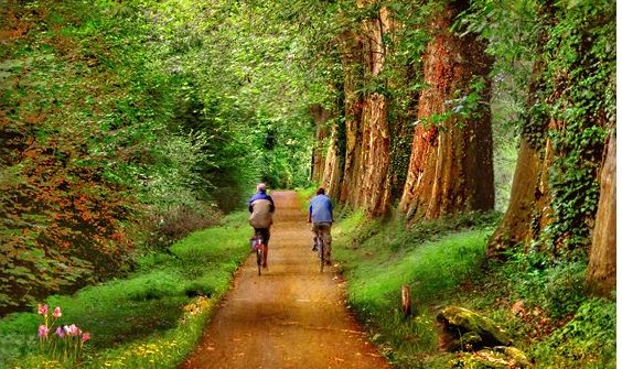 olivbrnchwrrior's tweet photo. “Life is like riding a bicycle. To keep your balance, you must keep moving.”

Albert Einstein
#ThursdayMotivation https://t.co/TweMDQ6nFK