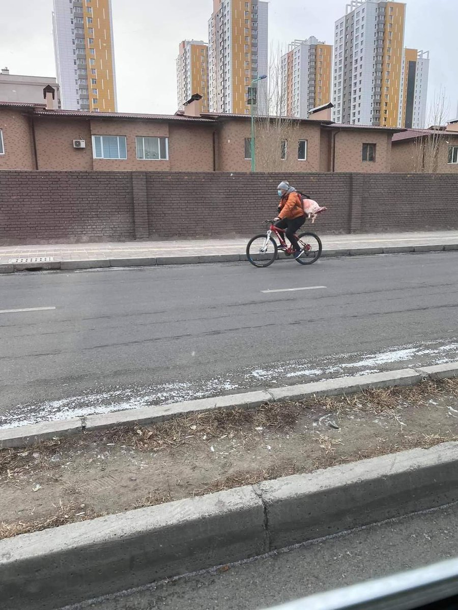 Машинтай ч биш, явган ч биш явж махаа авсан шүү.