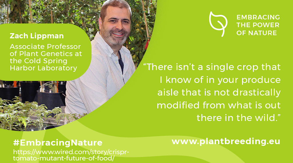 How much do you know about the story of your food? 🥘🍲

One thing is certain: It is the result of many millennia of selective breeding &amp; modification.

wired.com/story/crispr-t… 
#PlantBreeding #EmbracingNature