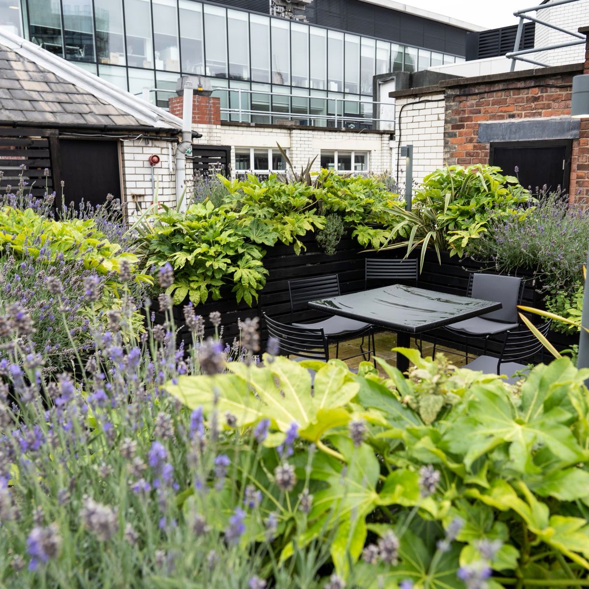 _Northspring's tweet photo. Is the office dead? One of the big questions that has arisen in 2020.
@McrFinest talk to @AYNorthViews and Origin occupiers @ourstudio about office culture during covid-19.
Read the article here: https://t.co/NXyw7v3HcO
#newworkspace #officetrends #propertytrends #originmcr https://t.co/WMRoD9l1Le
