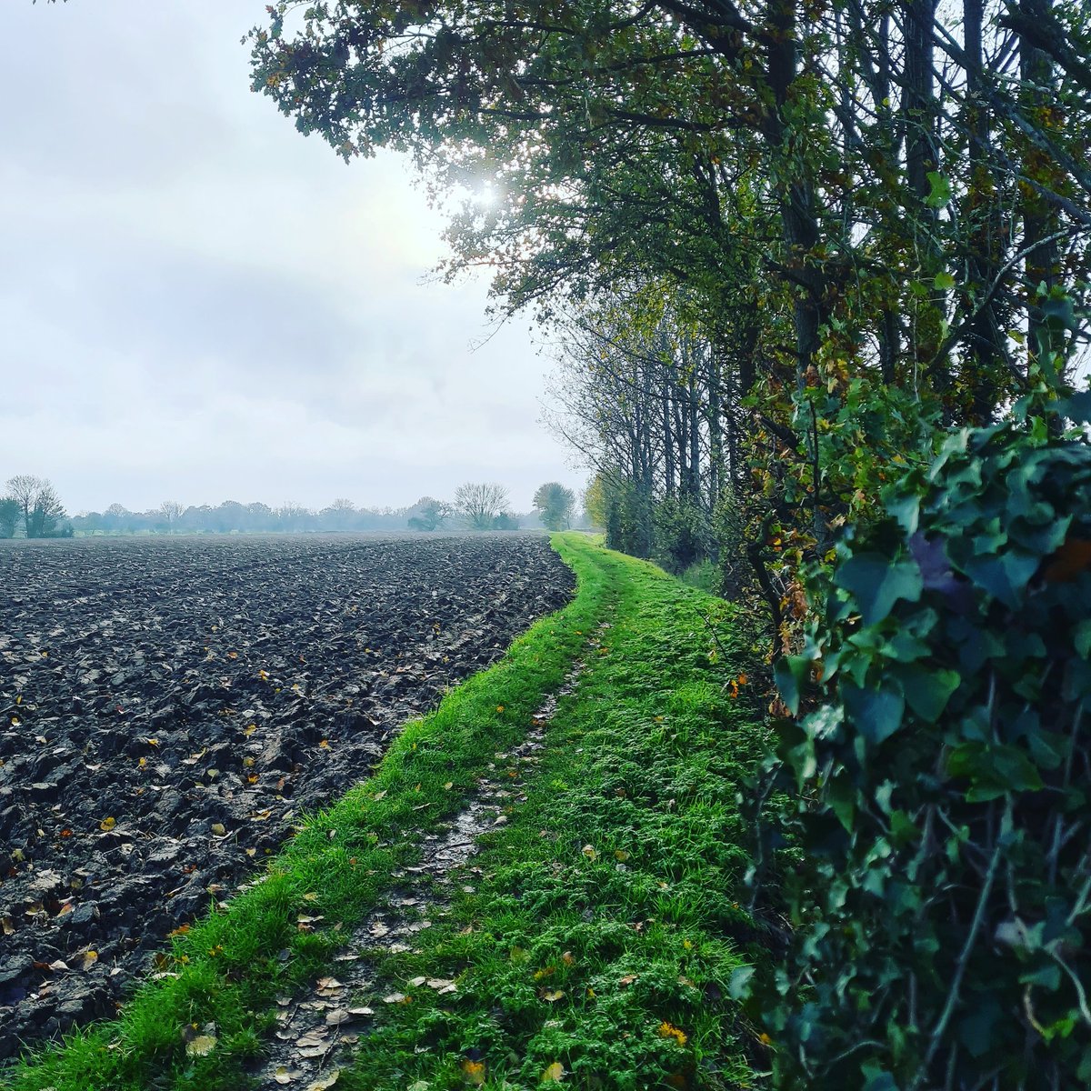 AureliaMoreaux's tweet photo. So this is how I have kept sane (and fit) in #lockdown 2.0 during my maternity leave: walking the beautiful @Essex_CC footpaths around where I live and finding out about new ones every week! 
Fresh air and mud are good for the mind 🧠#mentalhealth #lockdownmum https://t.co/7kHjH9qJvz