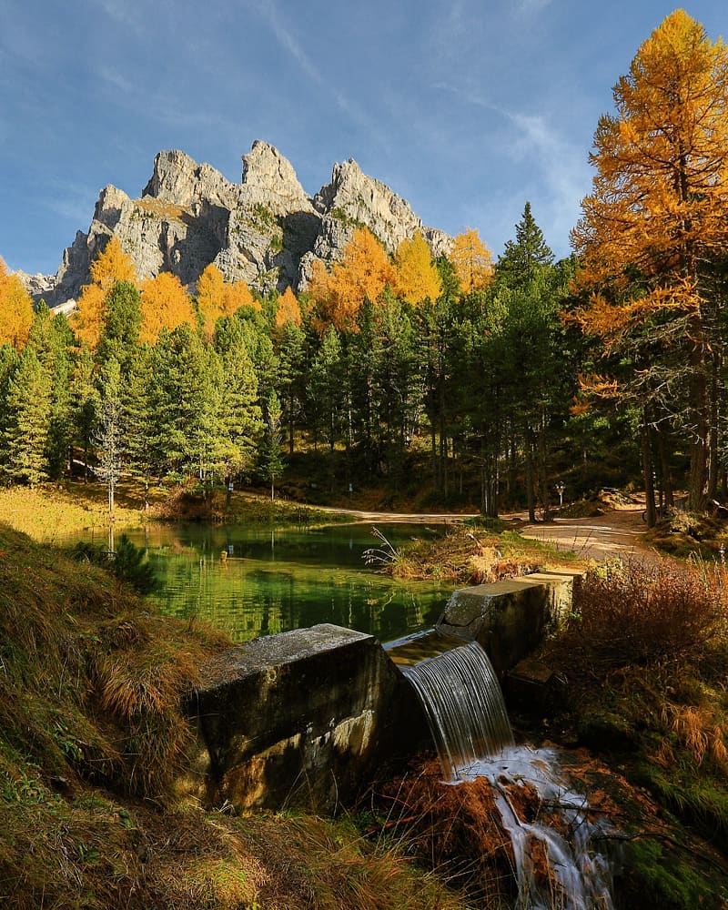 dolomiti_it's tweet photo. Goditi le piccole cose: una cascatella, un laghetto, gli alberi d'autunno e le Dolomiti della Val Gardena
Enjoy the little things: a little waterfall, a small lake, the autumn trees and the Dolomites of Val Gardena

Simon Demez

#dolomitiamo #valgardena #valgardenadolomites https://t.co/MGVdoHjphm