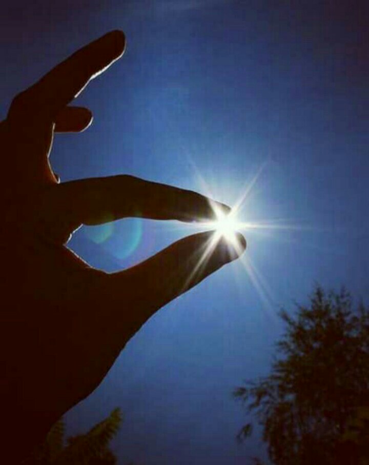 AkritiS95959824's tweet photo. *Not all sunsets are the end,🌅
They are the way for fresh
Start.💫#photography📷 #Thesettingsun🌅 clicked by me..💜 https://t.co/VeI67jDZBR