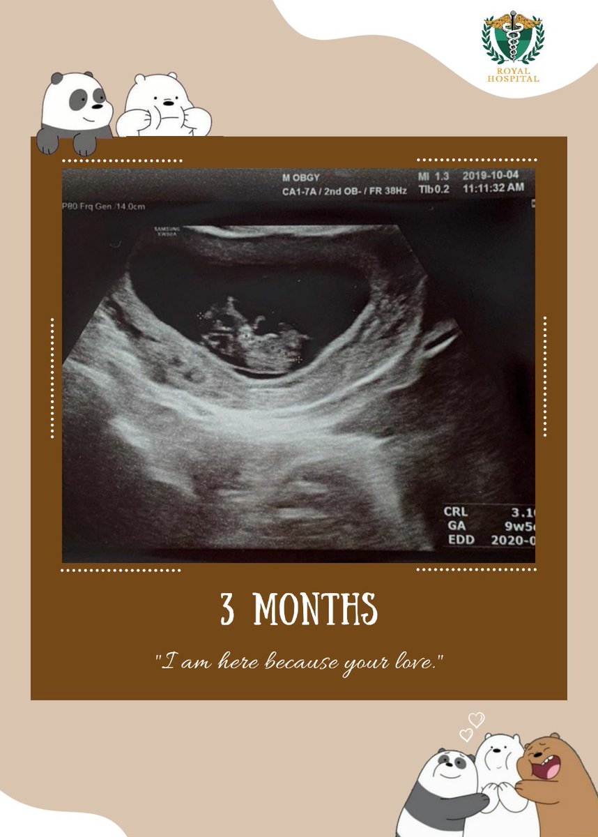 Yeon Reximus 🤰 tweet media