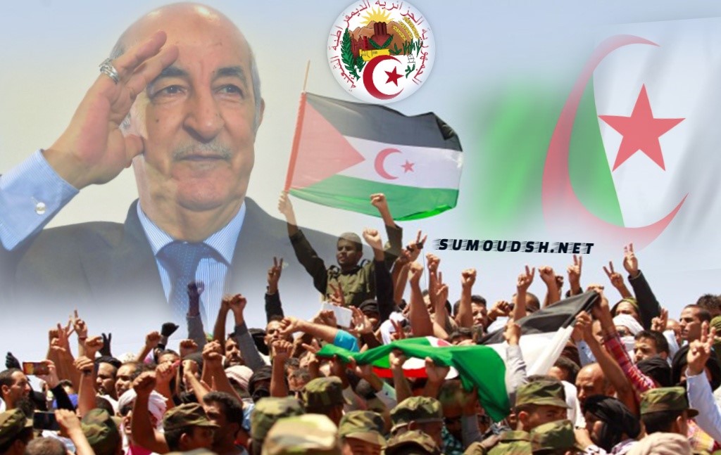rubibouzaid's tweet photo. #الجزائر_مكة_الثوار 
كلنا فخر بدعم ومساندة الجزائر لقضينا العادلة لانها كانت ومزالت مقرا لكل المنظمات التحررية والثورية من المؤتمر الأفريقي لمانديلا، الى الفهود السود الأمريكيين والجيش الجمهوري الايرلندي والجبهة الشعبية لتحرير فلسطين وجبهة تحرير كورسيكا والجبهة الثورية لانغولاو.. https://t.co/VVSCpEUY2v