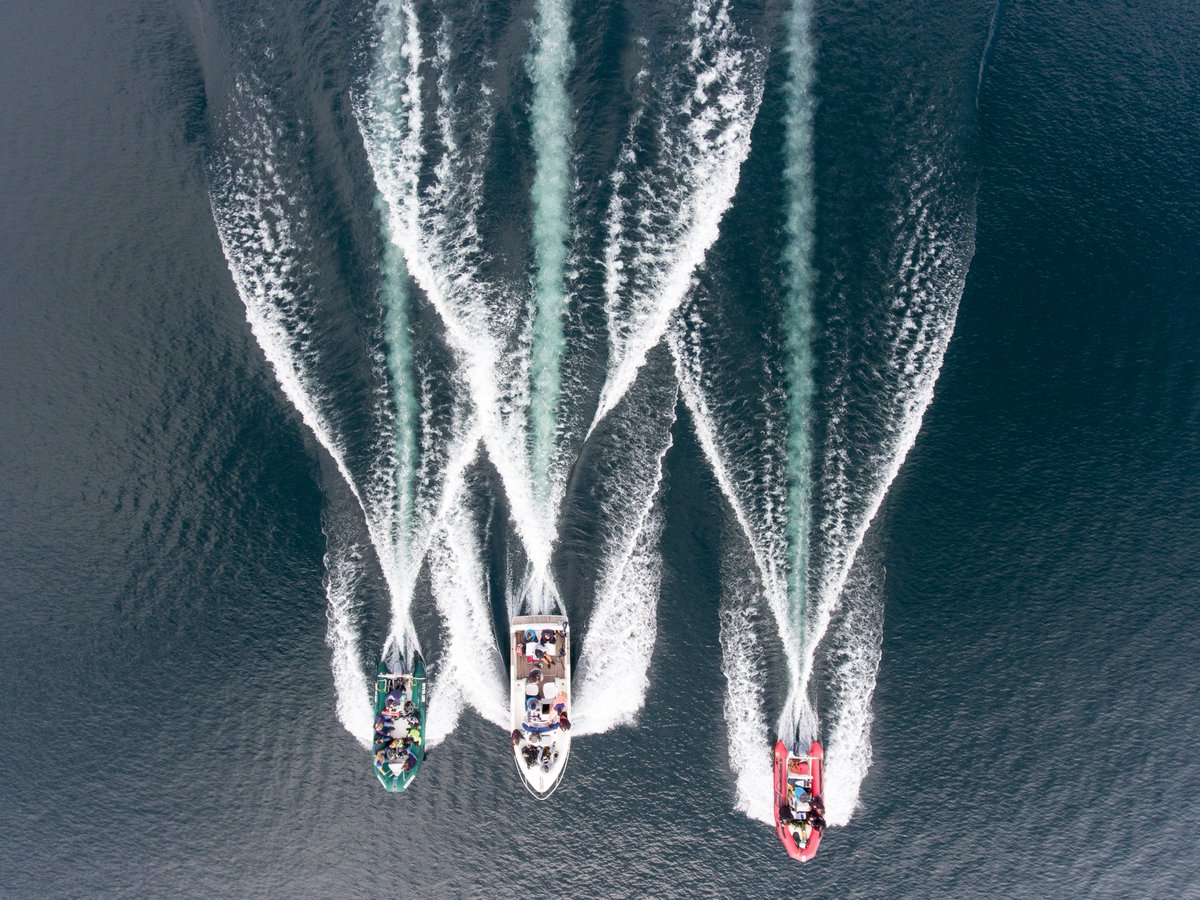 AssoOdysseus31's tweet photo. #jeudiphoto
Cette magnifique photo, digne d'un blockbuster 😉, a été prise lors de notre dernière opération #OP642 une mission scientifique sur les munitions immergées au fond du lac Léman depuis la Seconde Guerre Mondiale
#Photo © Franck Lebrun - SeaSkyMotion https://t.co/MW7BKDKYOT