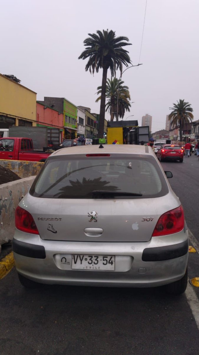 Municipalidad de Independencia tweet media