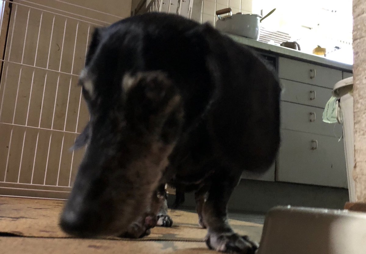 E8 84 E8 85 Ab E7 98 8d Twitter Search