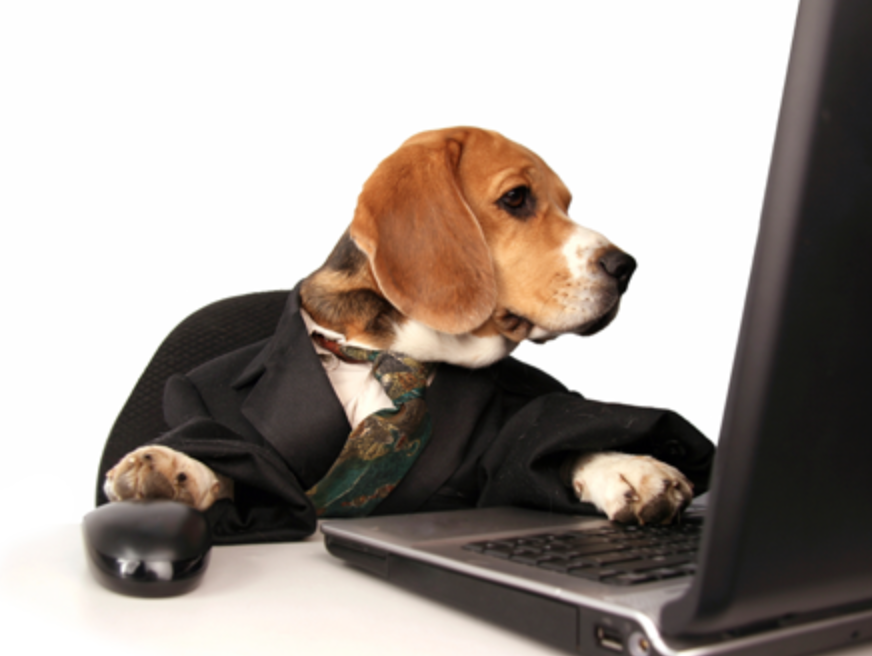 CadeToto's tweet photo. https://t.co/dOgZ9dJ3uF
⭐️Classificados de anúncios Pet GRATUITO 
👉Anuncie o seu PET PERDIDO
👉ADOTE um amigo de quatro patas
🌟Apoie esta causa! https://t.co/tS9e3ePb5f