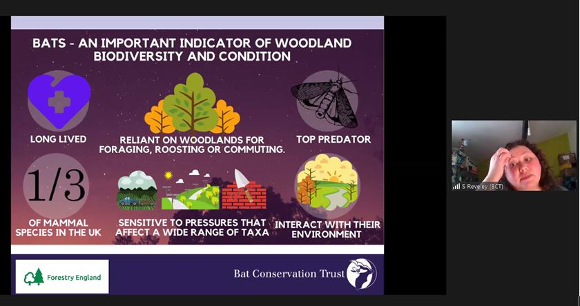 _BCT_'s tweet photo. Sonia Reveley discusses monitoring in the Public Forest Estate as part of a 'proof-of-concept' study to explore the ability of passive acoustic bat surveys to inform natural capital accounting and woodland condition monitoring #BatWoodlandSymp https://t.co/VGMqGWi8G6
