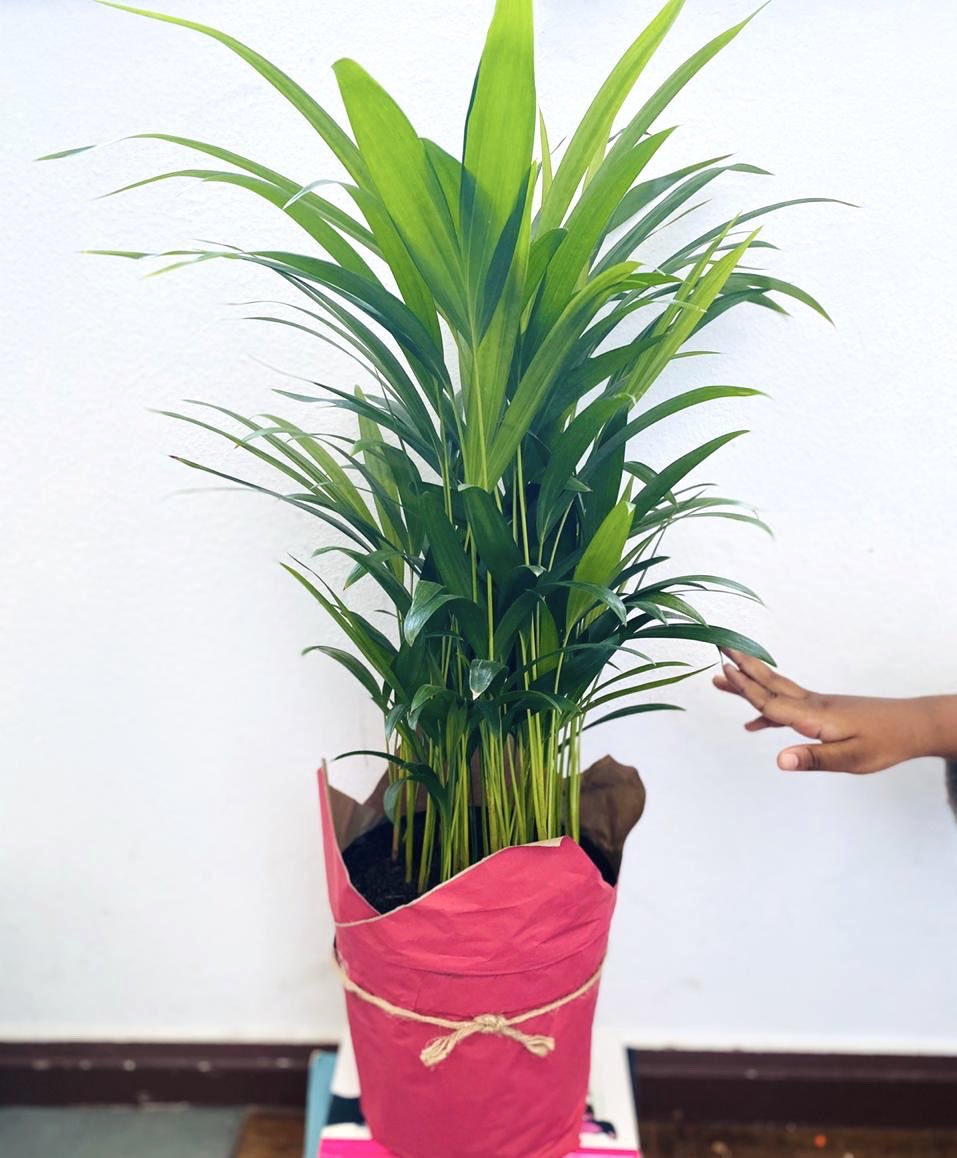 Lelo Dube tweet media