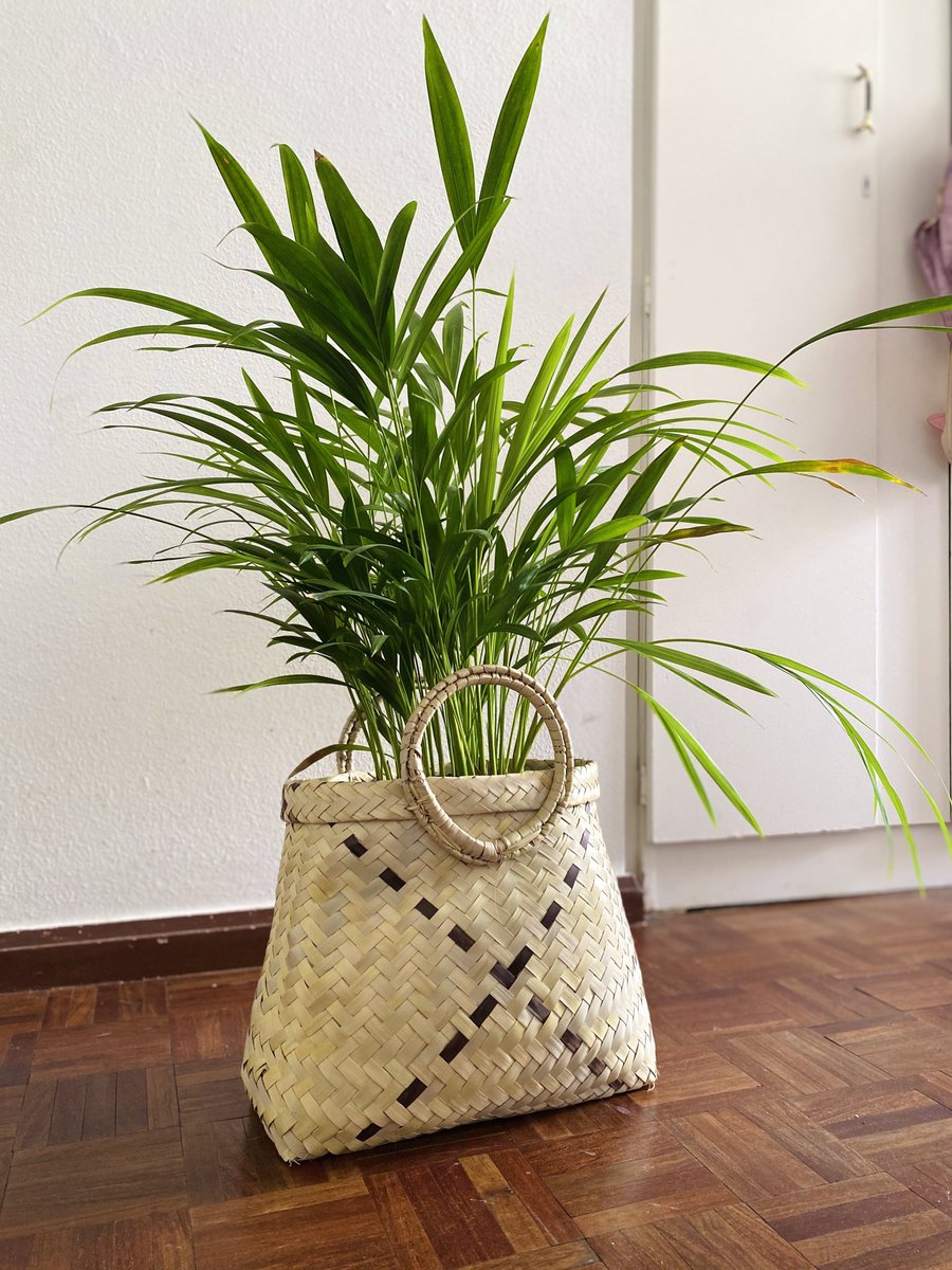 Lelo Dube tweet media